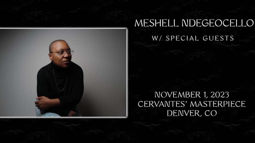 Meshell Ndegeocello