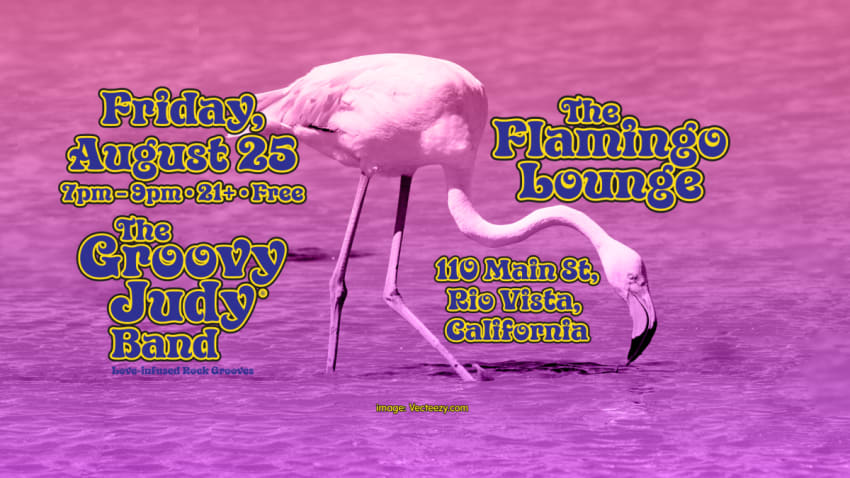 The Groovy Judy Band