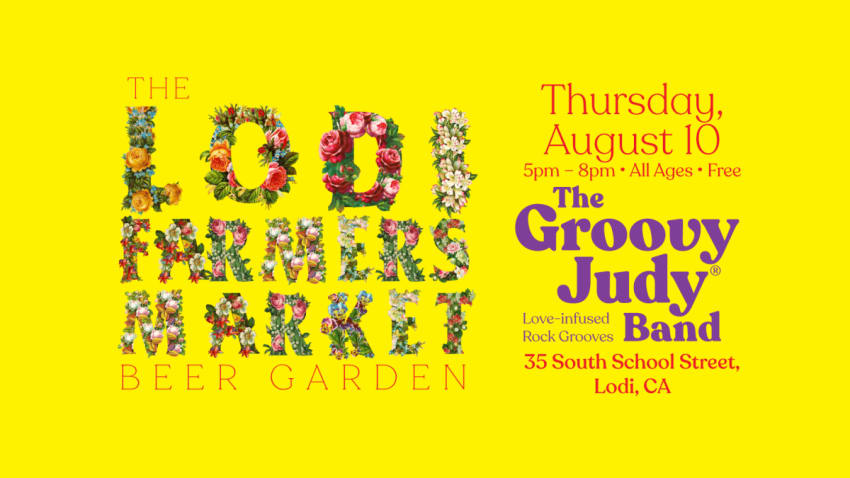 The Groovy Judy Band