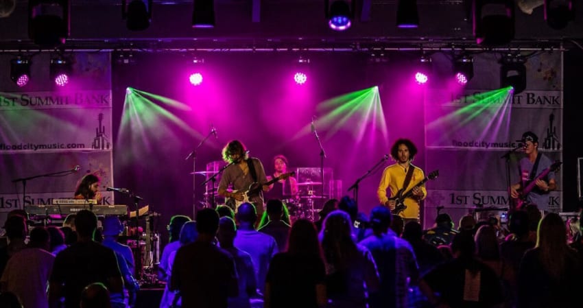 Dogs In A Pile August 2023 Codina