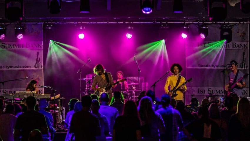 Dogs In A Pile Reveal Plans For New Year’s Eve Run 2023