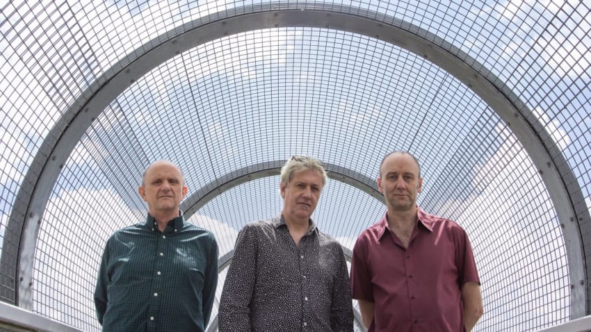 The Necks