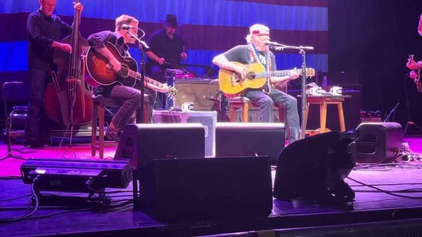 Willie Nelson - I Never Cared For You