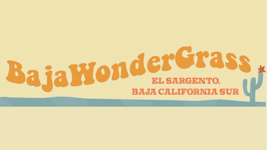 BajaWonderGrass