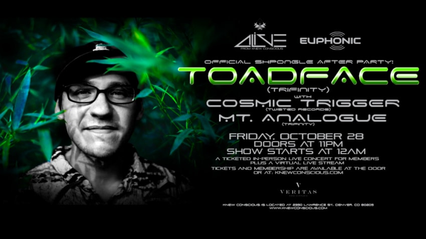 OFFICIAL SHPONGLE AFTERS – Toadface w/ Cosmic Trigger & Mt Analogue