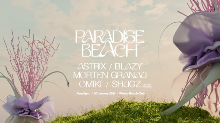 Paradigm: Paradise Beach