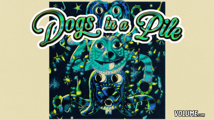 Dogs In a Pile_Jambase