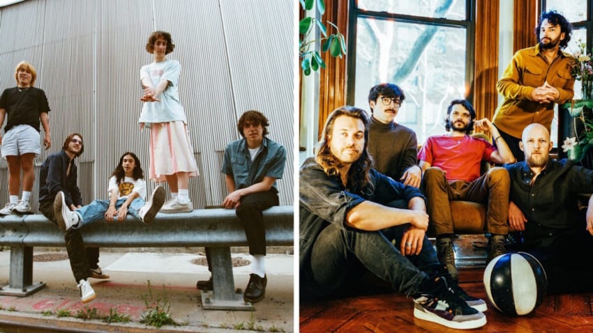 A Migratory Pattern? Goose & Geese Lose Members On Same Day