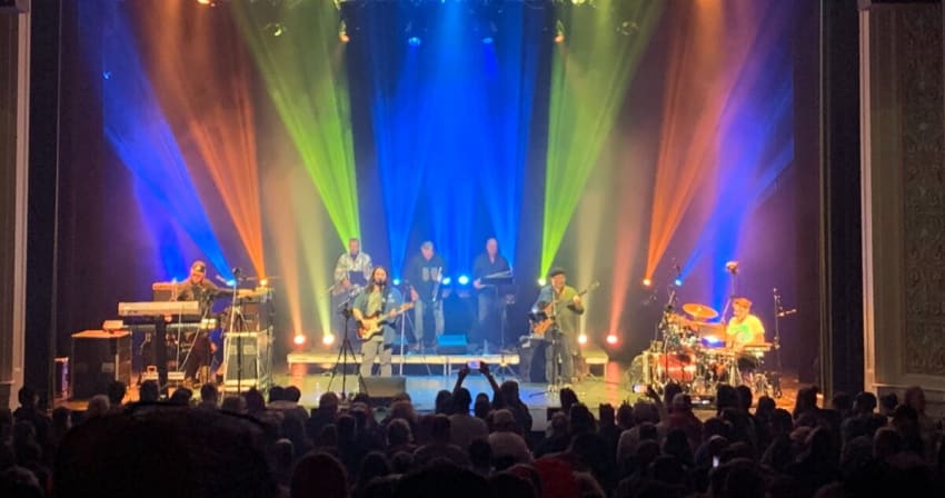 Pink Talking Fish Giant Country Horns