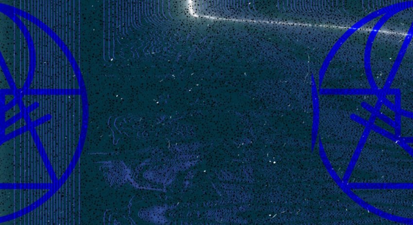 Goose Image January 2024