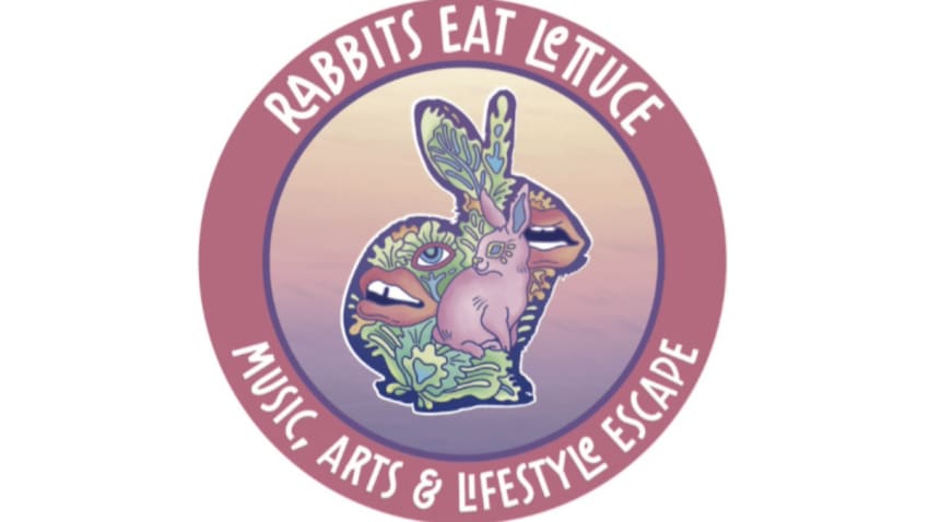 Rabbits Eat Lettuce
