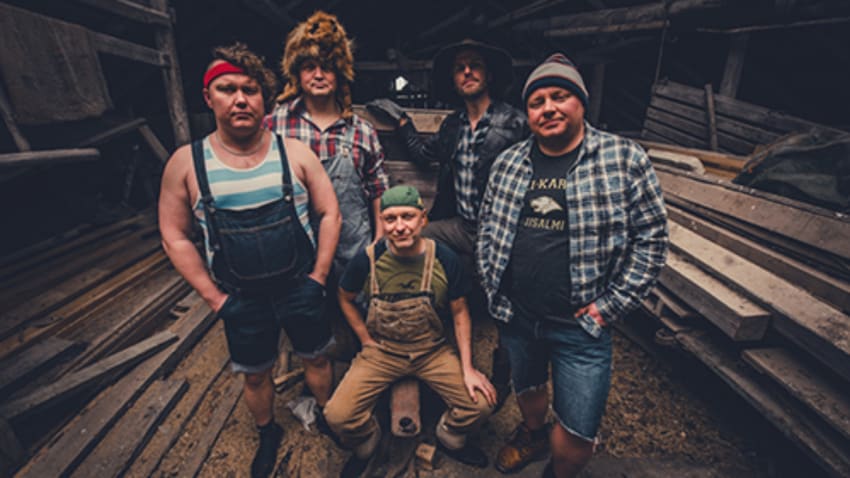 Steve 'n' Seagulls