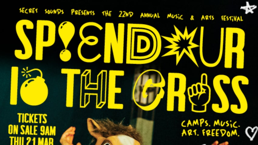 Splendour In The Grass