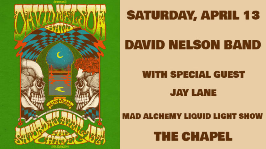 David Nelson Band