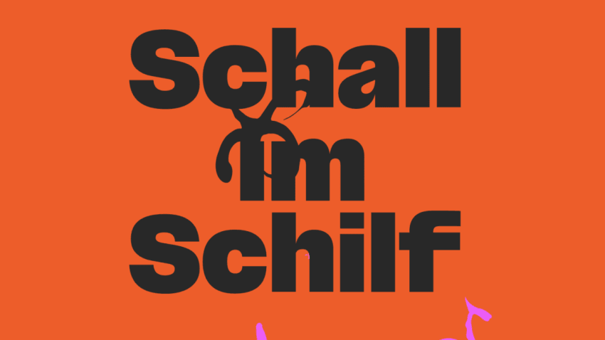 Schall im Schilf Open Air