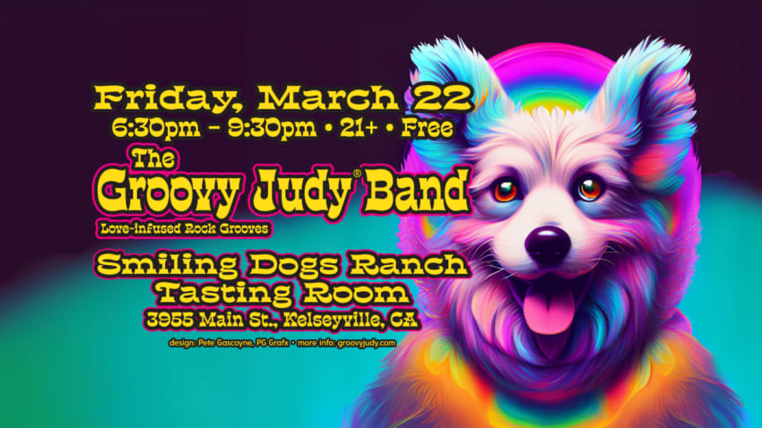 The Groovy Judy Band
