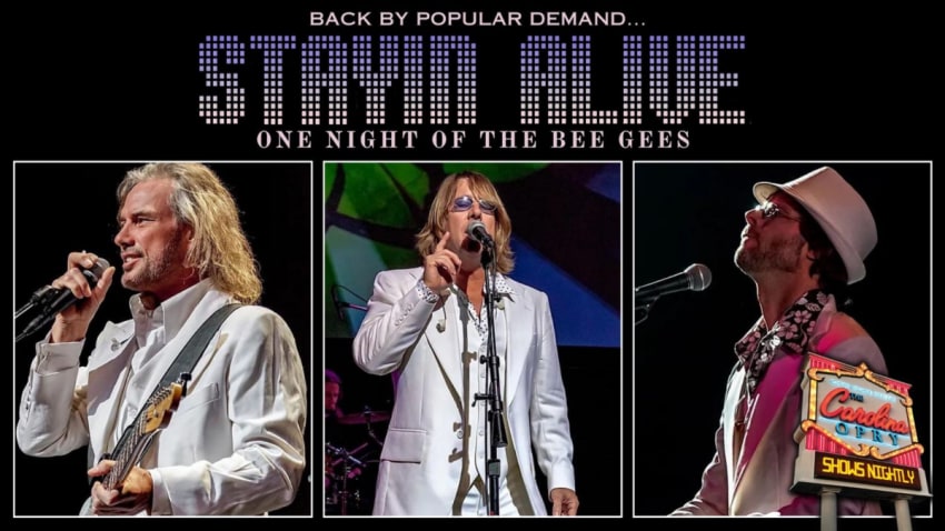 Stayin' Alive - Bee Gee's Tribute
