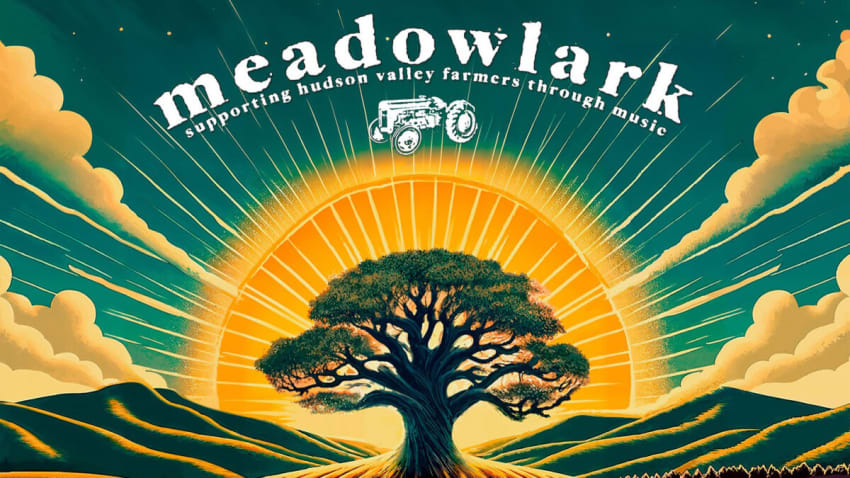 Meadowlark