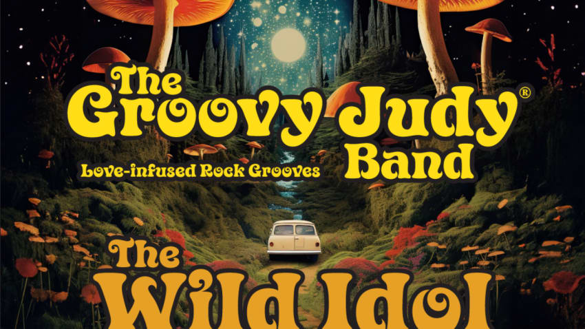 The Groovy Judy Band