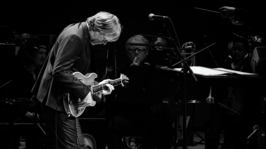 Trey Anastasio