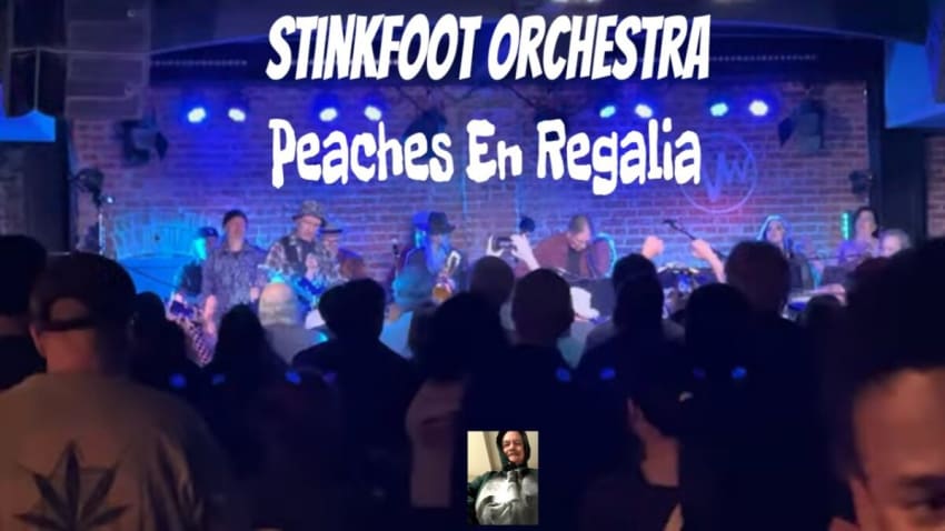 Stinkfoot Orchestra play Peaches En Regalia at The Venice West 06-20-24