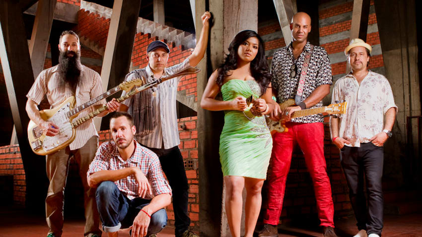 Dengue Fever