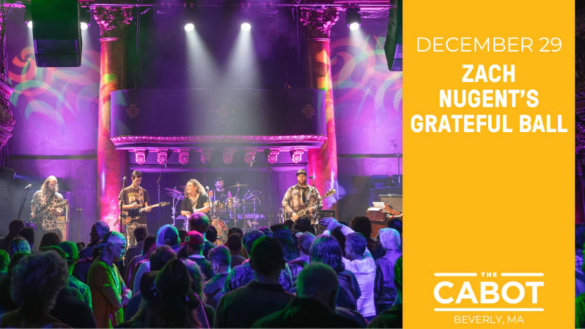 Zach Nugent's Dead Set