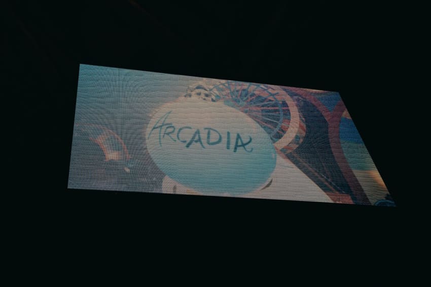 Goose Arcadia 20241213 FoxAbby Fullsize