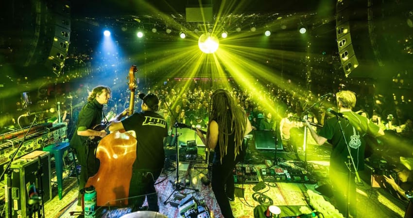 Kitchen Dwellers King Gizzard Cover Denver