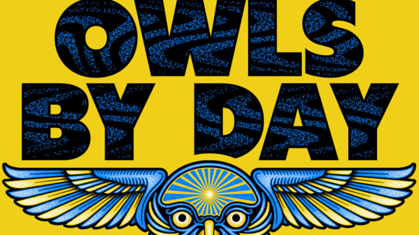 Owls By Day