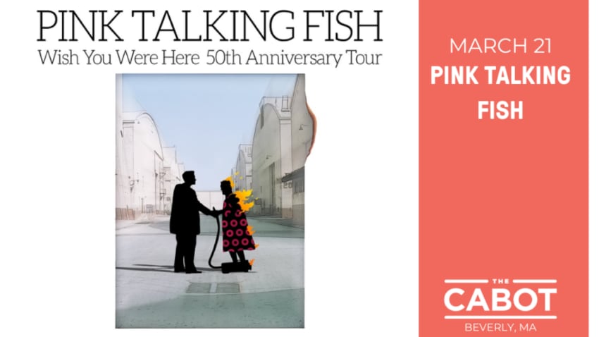 Pink Talking Fish