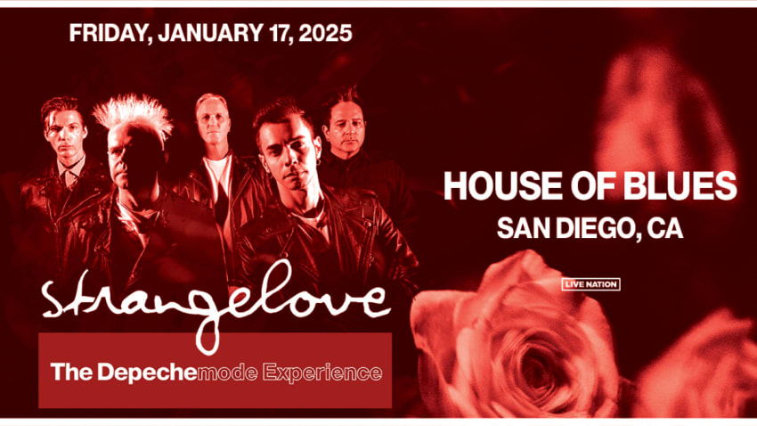 Strangelove - Depeche Mode Experience