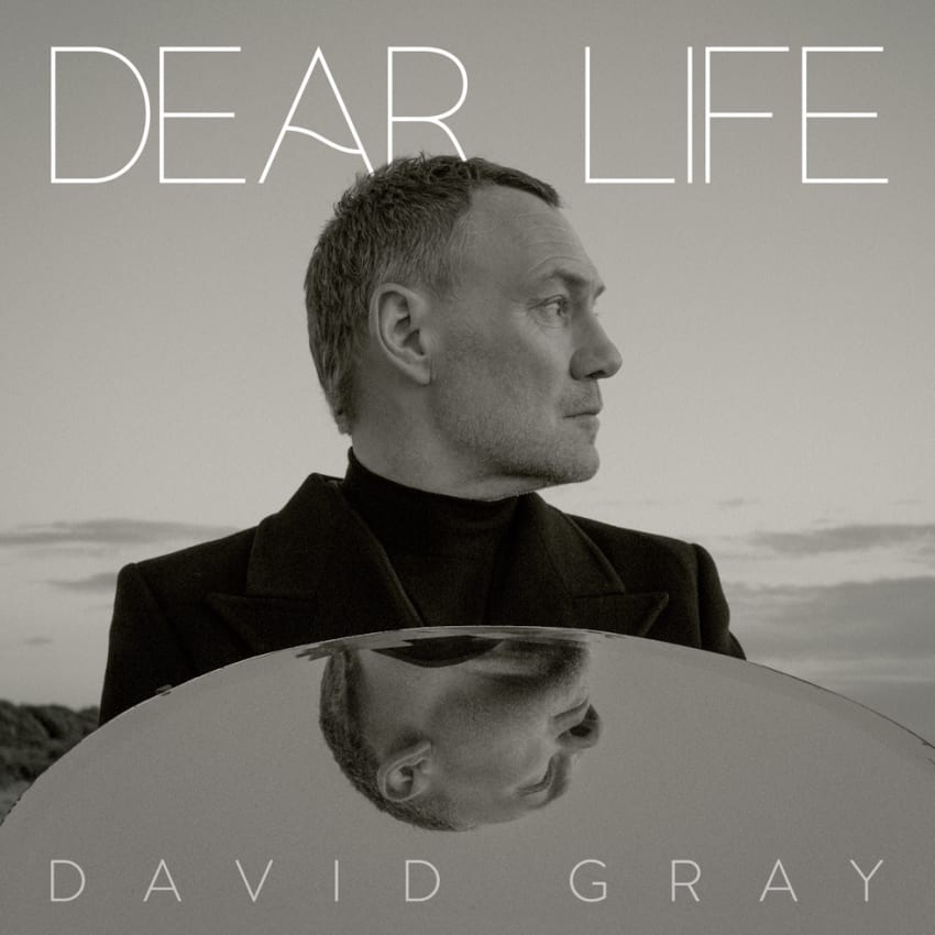 Dear Life Cover