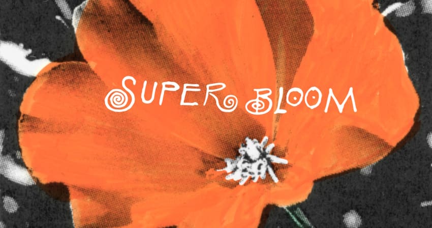 Super Bloom Coevr