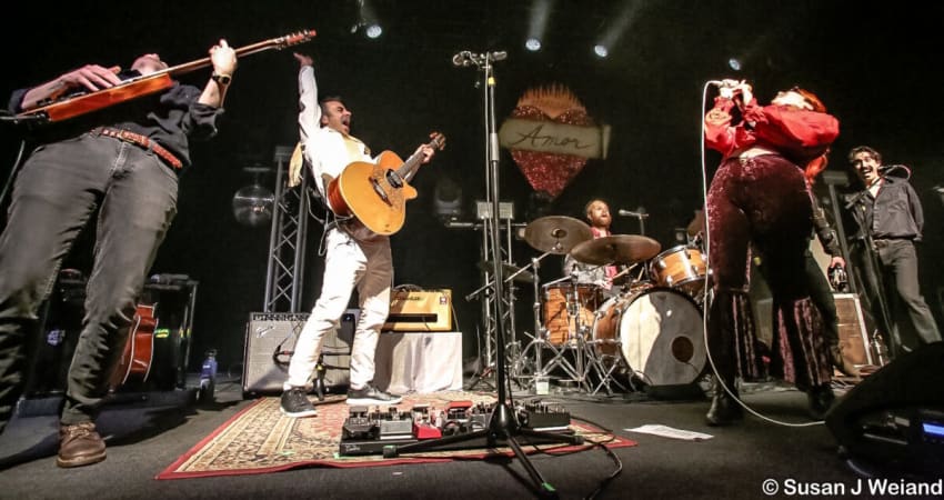 ALO Glitterfox 2025 Weiand