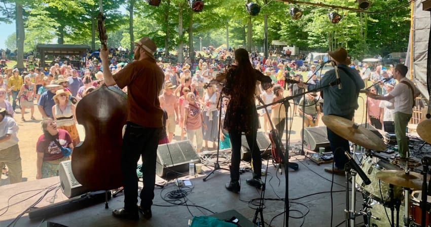 Great Blue Heron 2025