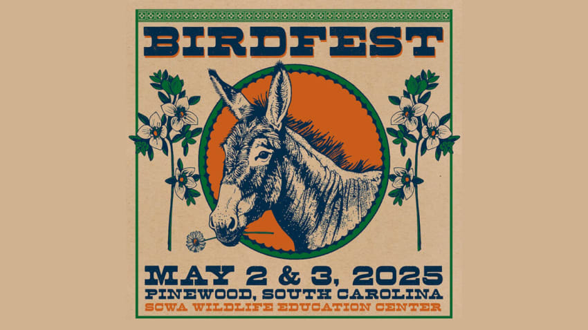 Birdfest