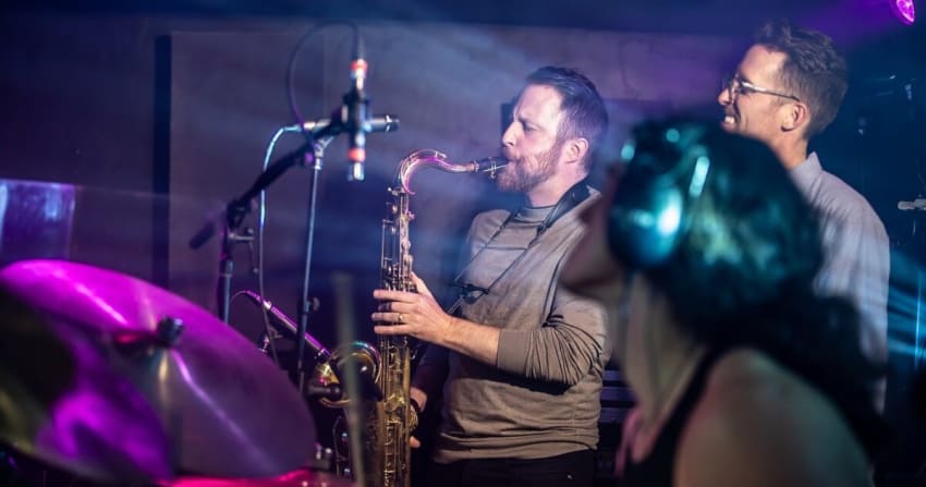 Dogs In A Pile The Horn Section Steamboat 2025