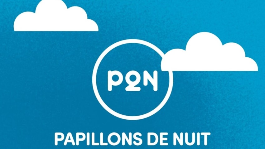 Papillons de Nuit