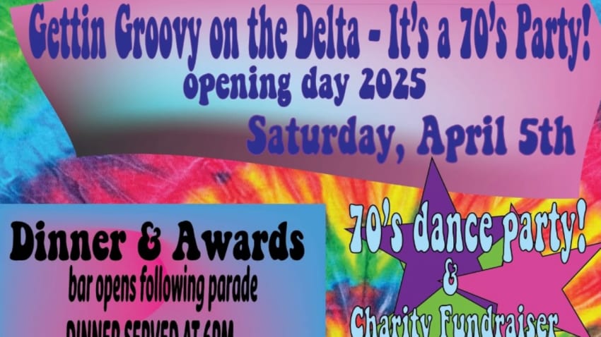 The Groovy Judy Band