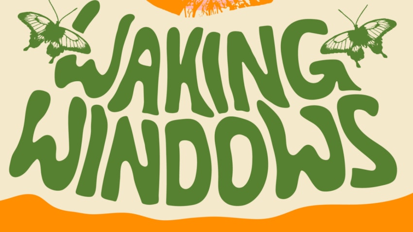 Waking Windows