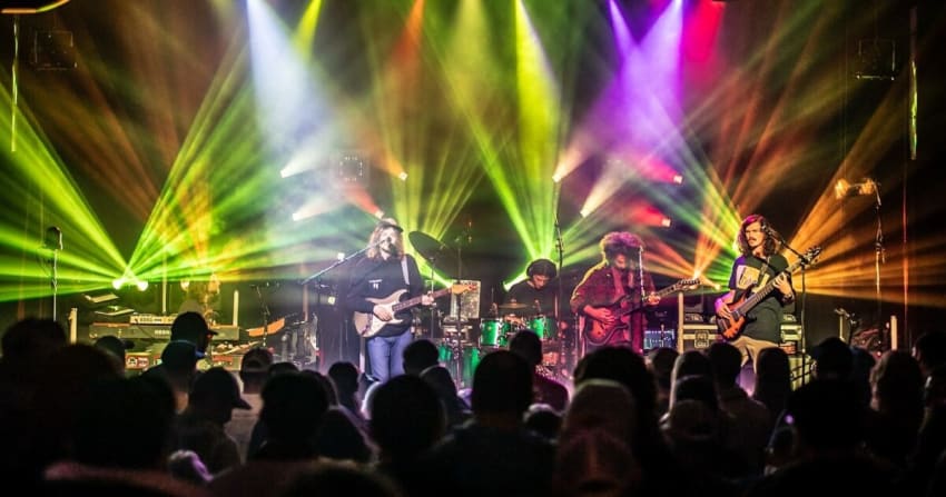 Dogs in A Pile live Spring 2025