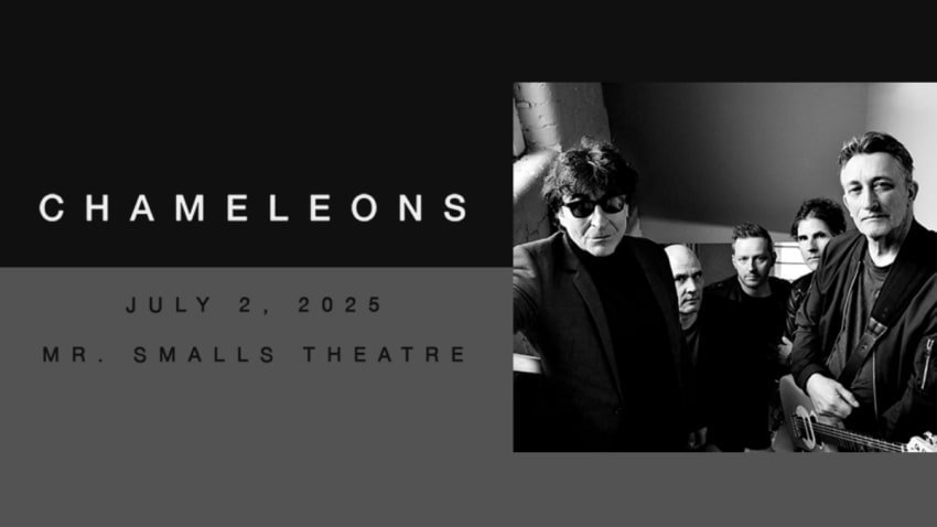 The Chameleons