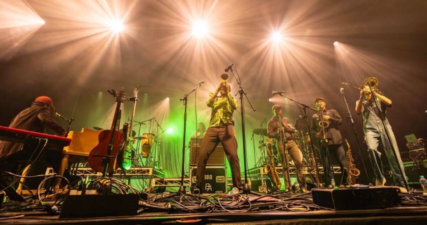 california honeydrops live 2025