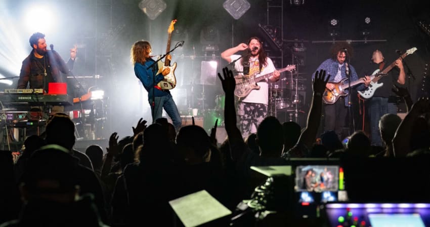 Pink Talking Fish Dogs In A Pile May 2025 Adelberg