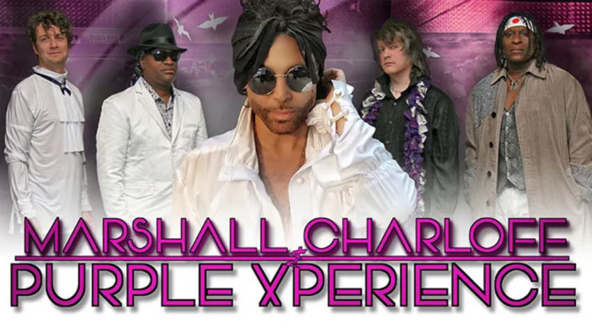 Purple Xperience