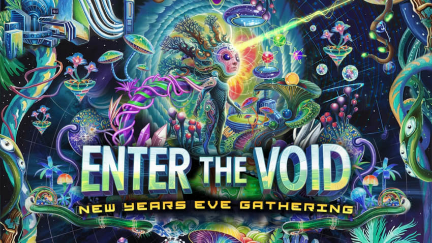 Enter The Void