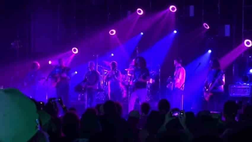 Fly Like an Eagle - Pigeons Playing Ping-Pong/Infamous Stringdusters