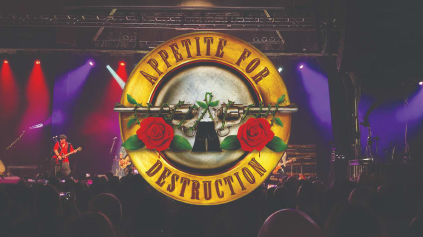 Appetite For Destruction
