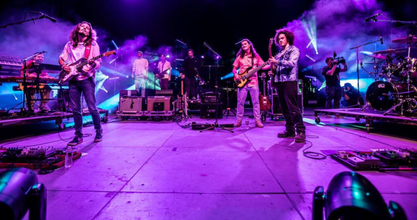 Dogs In A Pile Ocean Avenue Stompers Horns 2025 Codina